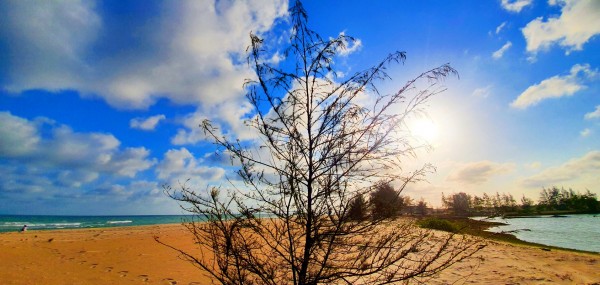 Những Điểm Du Lịch Ở Vũng Tàu